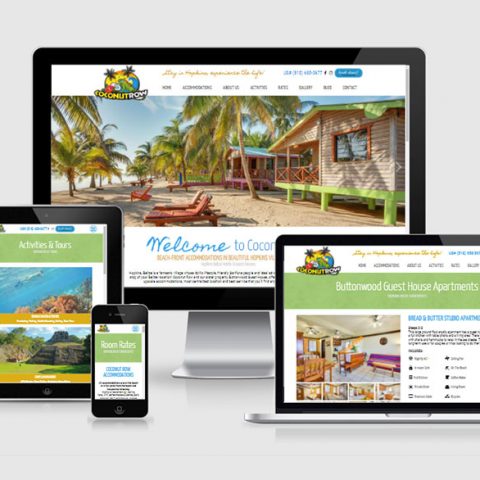 Belize website design - Coconut Row