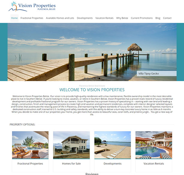 Vision Properties