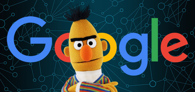 Google BERT Update